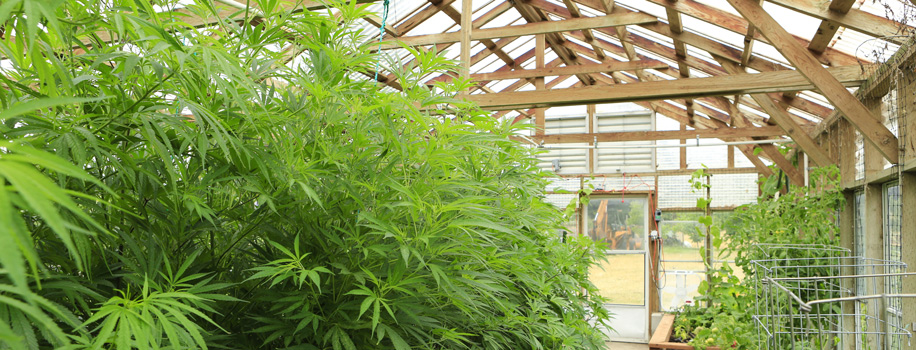 Security Solutions for Apartments in Miami, FL